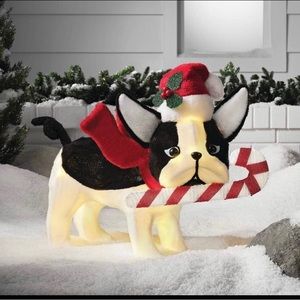 Christmas LED Dog With Candy Cane. Christmas Novelty.